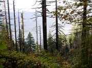 10.28.05 Devil's Rest 128 